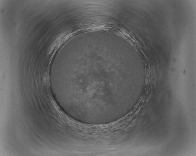 X0000069830002200605221219