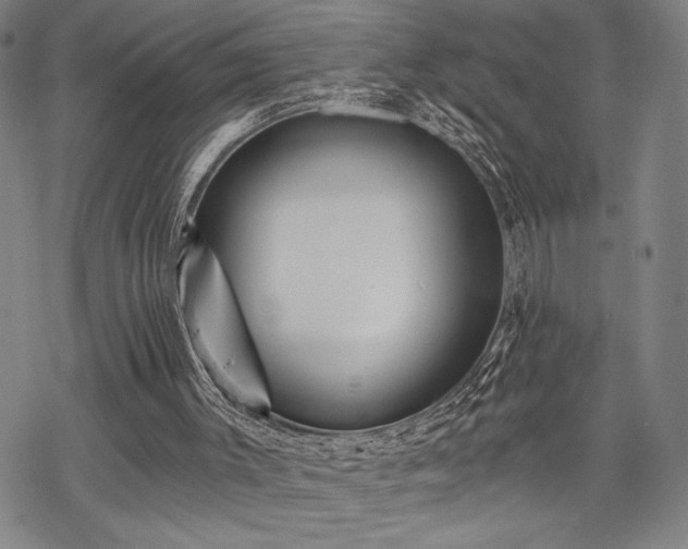 X0000069830003200605221219