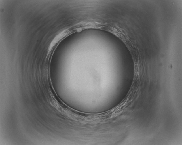 X0000069830004200605221218