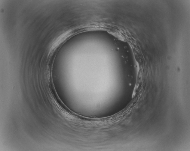 X0000069830005200605221218