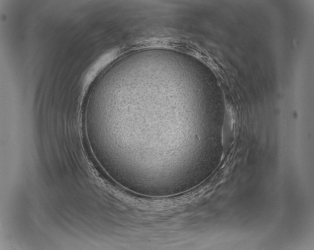 X0000069830006200605221218