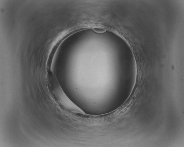 X0000069830008200605221218