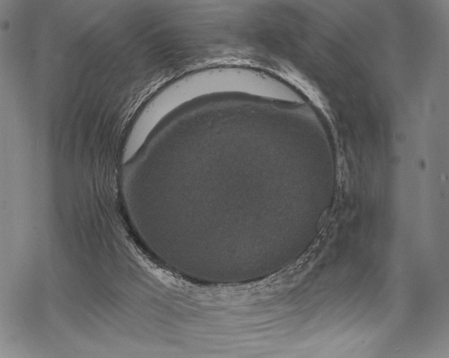 X0000069830009200605221218