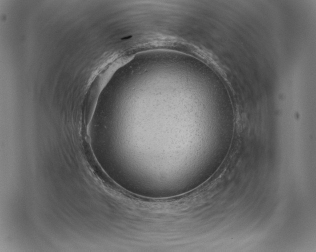 X0000069830010200605221218