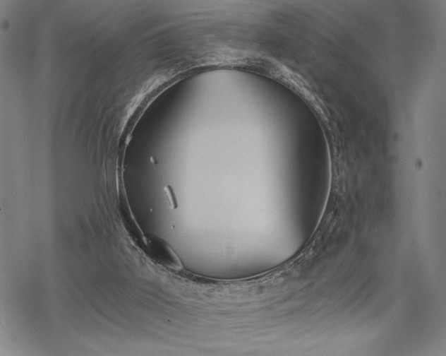 X0000069830011200605221218