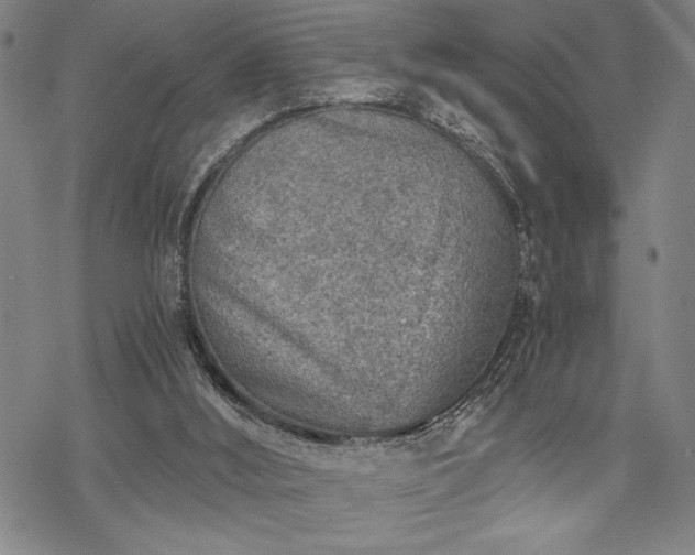 X0000069830012200605221218