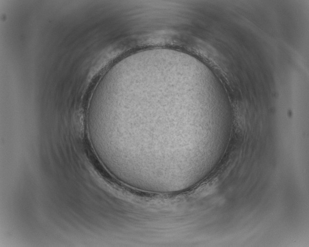 X0000069830016200605221218