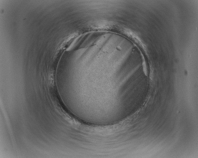 X0000069830017200605221218