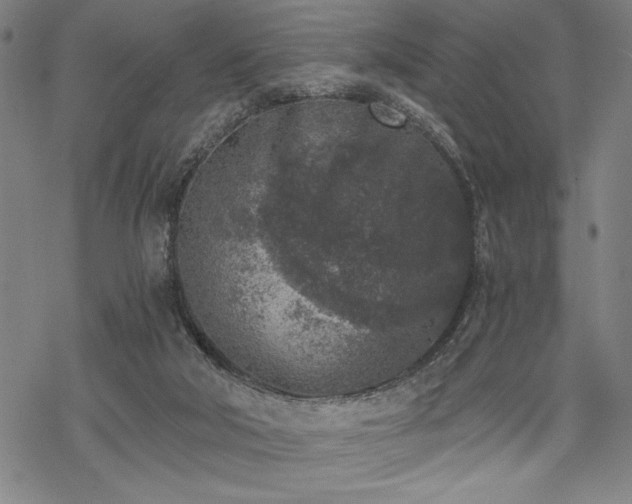 X0000069830018200605221218