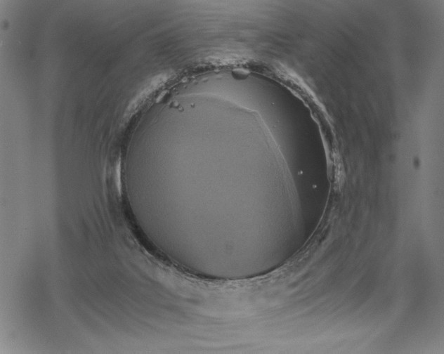 X0000069830019200605221218