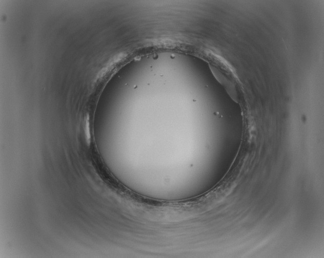 X0000069830020200605221218