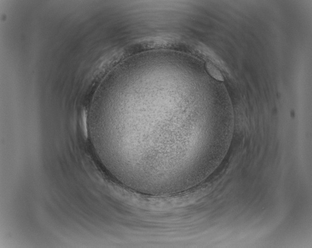 X0000069830022200605221218