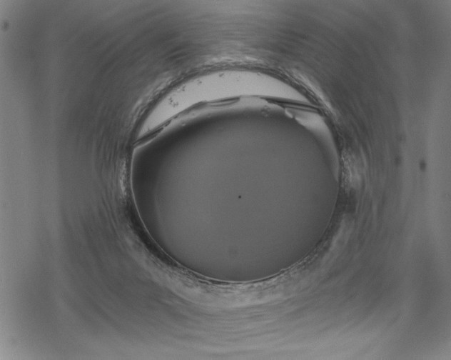 X0000069830023200605221218