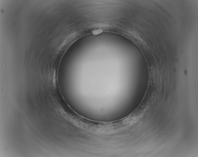 X0000069830024200605221218