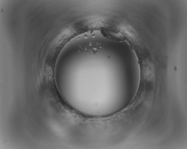 X0000069830025200605221218