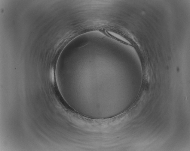 X0000069830027200605221218