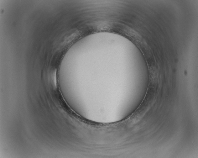 X0000069830028200605221218