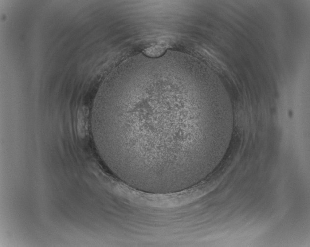 X0000069830030200605221218