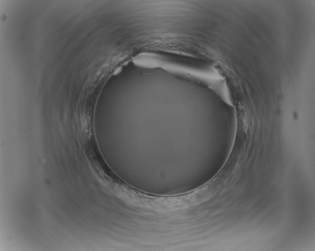 X0000069830031200605221218