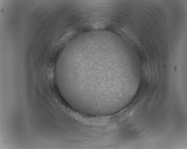 X0000069830032200605221218