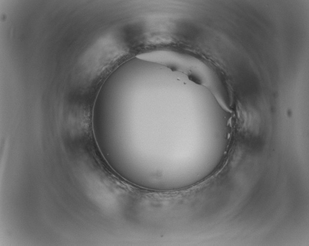 X0000069830033200605221218