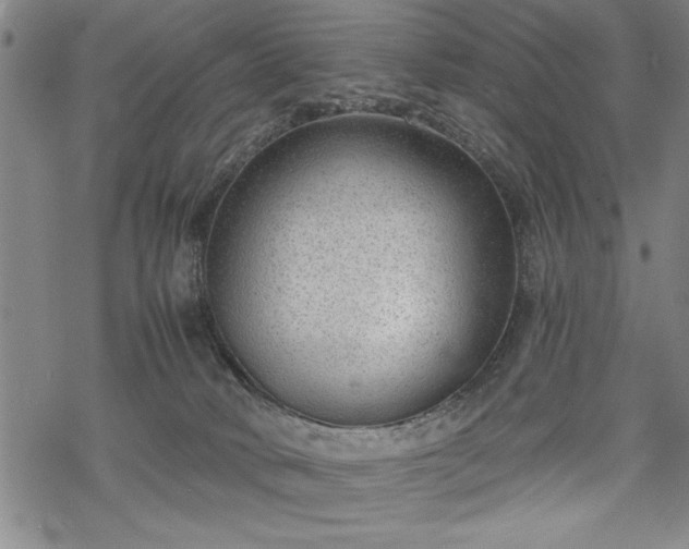 X0000069830034200605221218