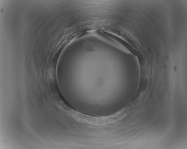 X0000069830035200605221218