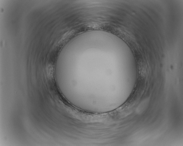 X0000069830036200605221218