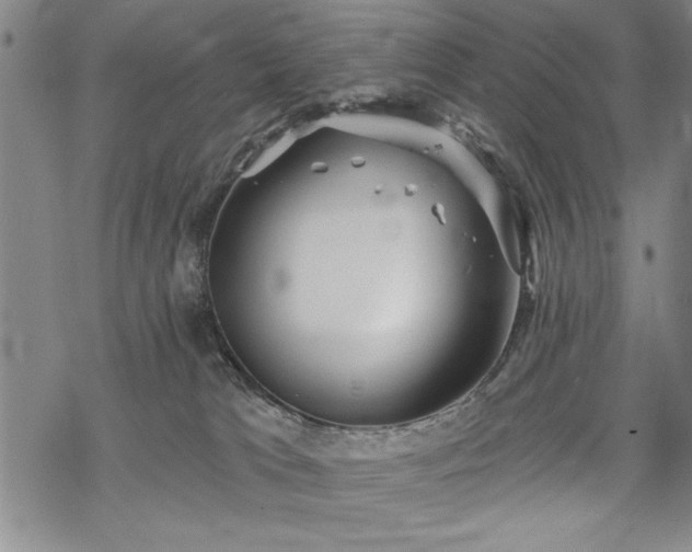 X0000069830037200605221218