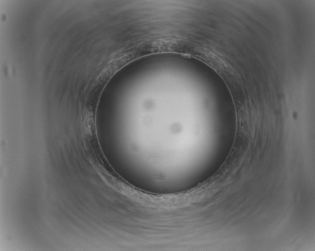 X0000069830038200605221218