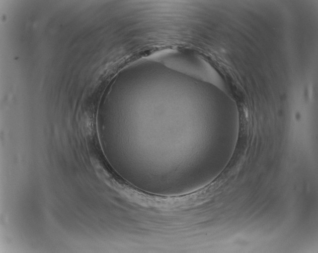 X0000069830039200605221218