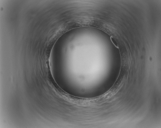 X0000069830040200605221218