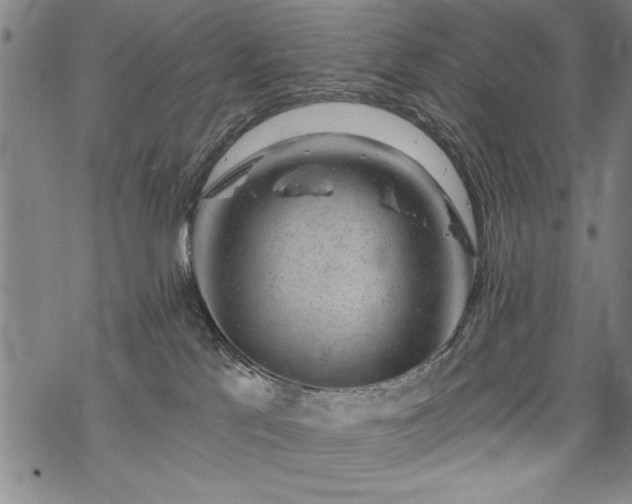 X0000069830041200605221218