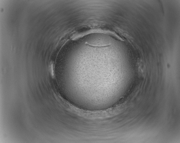 X0000069830042200605221218