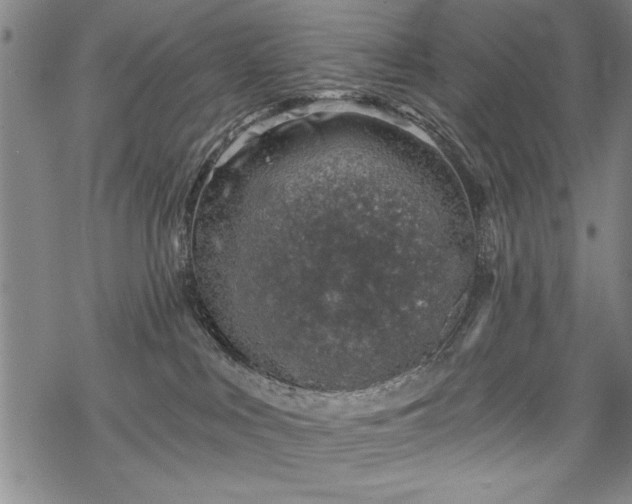 X0000069830043200605221218