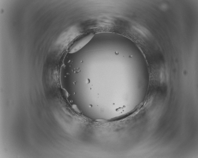 X0000069830045200605221218