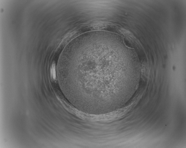 X0000069830046200605221218