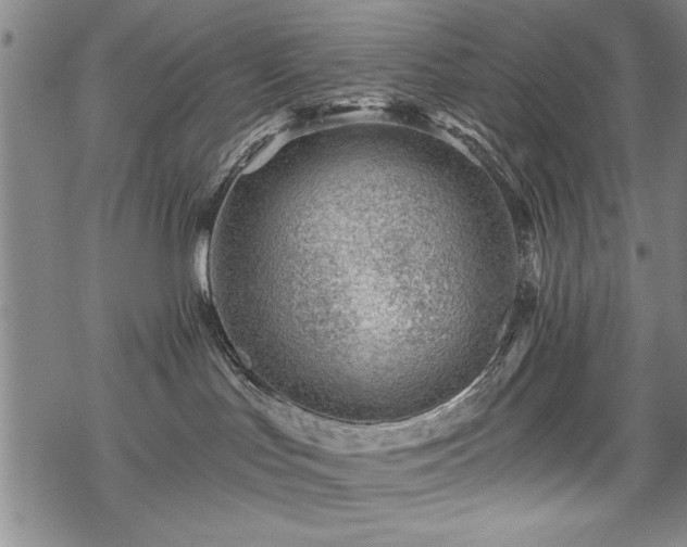 X0000069830047200605221218