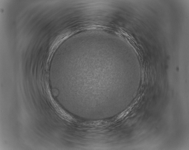 X0000069830049200605221217