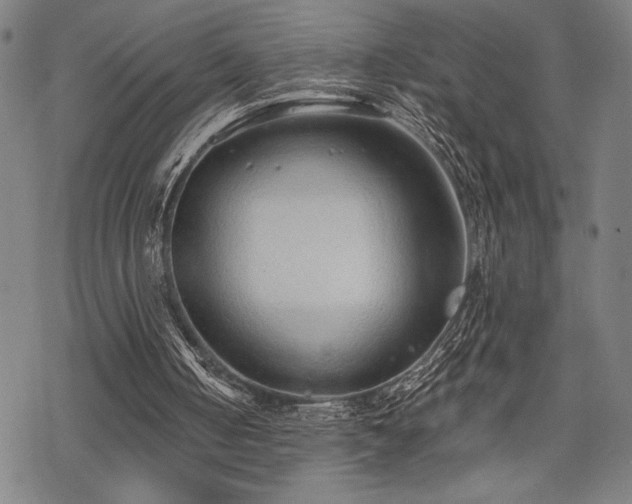 X0000069830050200605221217