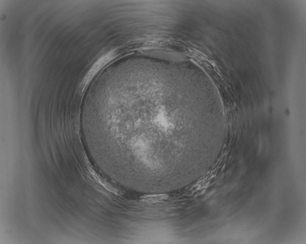 X0000069830051200605221217