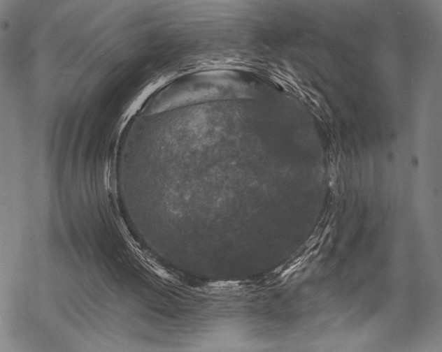 X0000069830052200605221217