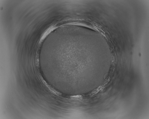 X0000069830053200605221217