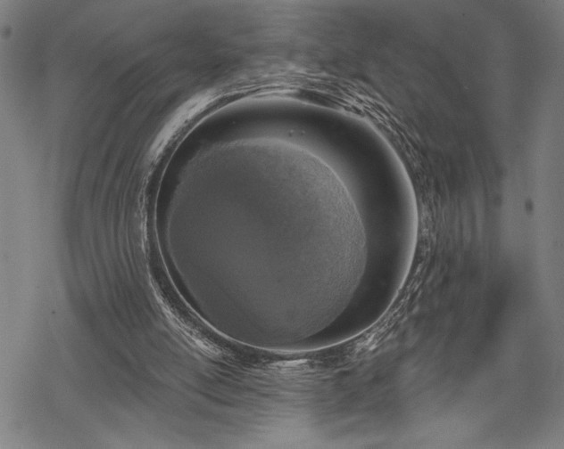 X0000069830054200605221217