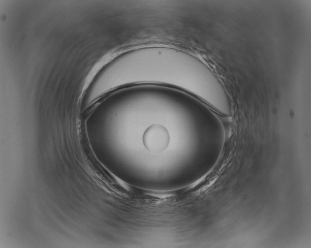 X0000069830056200605221217