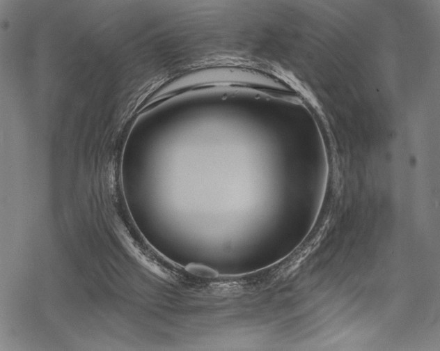 X0000069830057200605221217