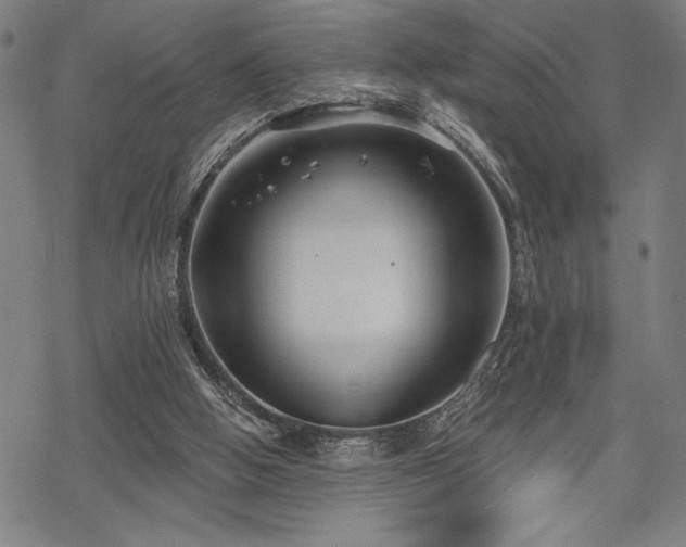 X0000069830058200605221217