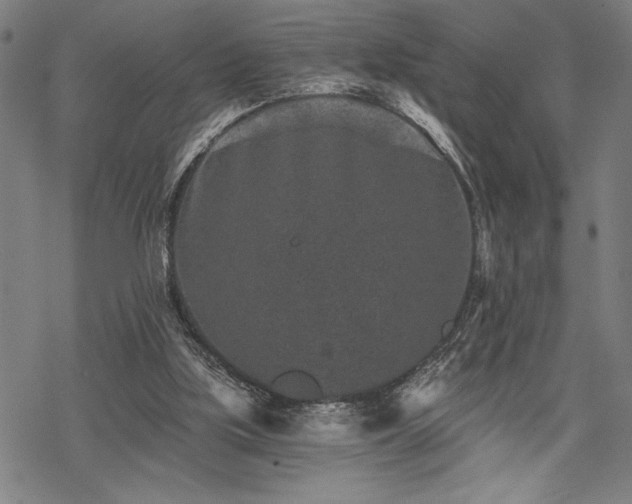 X0000069830059200605221217