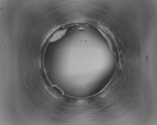 X0000069830060200605221217