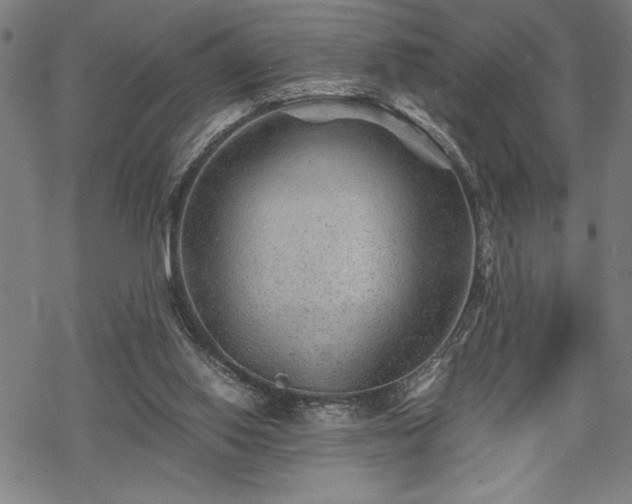 X0000069830062200605221217